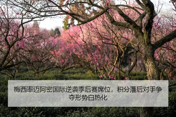 梅西率迈阿密国际逆袭季后赛席位，积分落后对手争夺形势白热化