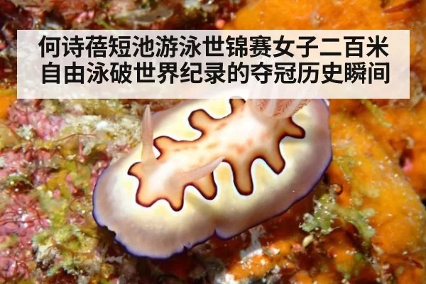 何诗蓓短池游泳世锦赛女子二百米自由泳破世界纪录的夺冠历史瞬间