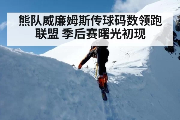 熊队威廉姆斯传球码数领跑联盟 季后赛曙光初现